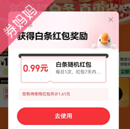 京东优惠券：年货节白条免息